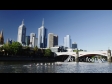Rowing boats on the Yarra River in Melbourne 3110